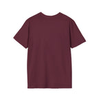 My Retirement Plan $2 And A Dream T-Shirt