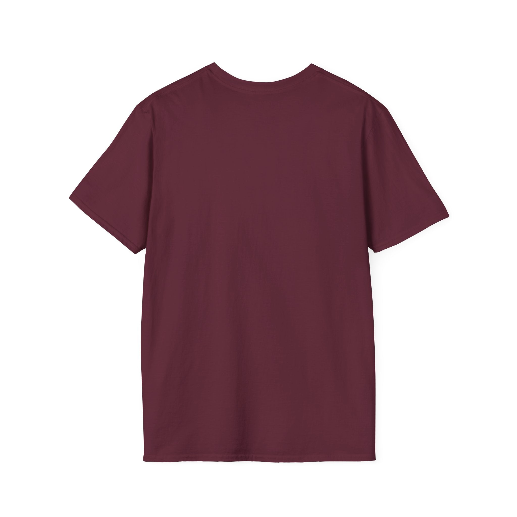My Retirement Plan $2 And A Dream T-Shirt